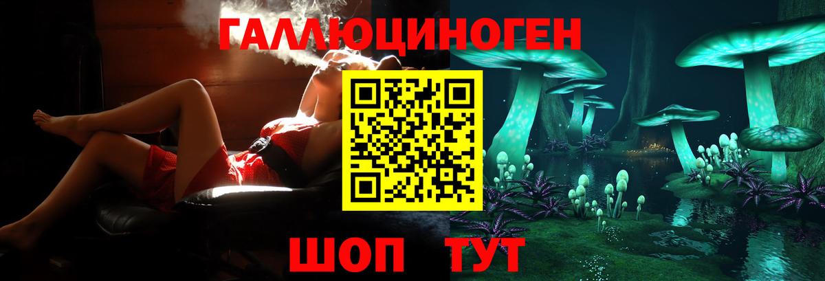 Галлюциногенные грибы MAGIC MUSHROOMS  Вход с VPN  Щёлково  Псилоцибиновые грибы GOLDEN TEACHER 